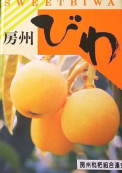 南房総産 房州びわ 大粒12個入‼️のサムネイル