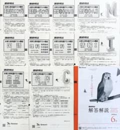 新品未使用】進研模試大学入学共通テスト模試 2025年度6月解答