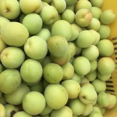 ここの様専用のサムネイル