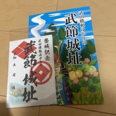 武節城跡の御城印とパンフットのサムネイル