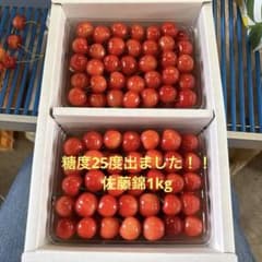 佐藤錦 訳あり たっぷり1kg家庭用 加工用 お試し 初モノのサムネイル