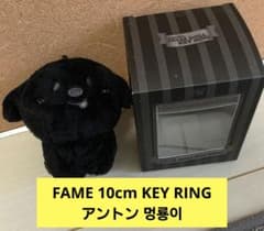 RIIZE 10cm キーリング アントン　モンリョンイ　未開封 RIIZE アントン モンリョンイ10cmドールキーリング 新品 - メルカリ