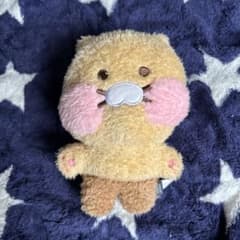 한국 카카오프렌즈 구입 춘식 봉제인형 신품