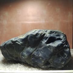 水石界の銘石　『瀬田川石』　#110 水石：瀬田川石 現品*資材 セタガワ : 遊恵盆栽 Yahoo!店 - 通販