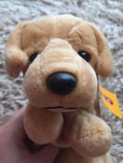 【新品】ゴールデンレトリバー 犬 ペンケースのサムネイル