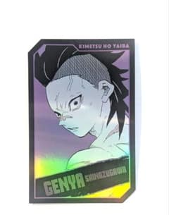 Demon Slayer: Kimetsu no Yaiba Characters Holo Card Collection Genya Shinazugawa