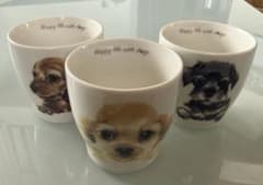 「わんこれシリーズ」犬柄 湯飲み 3個セット