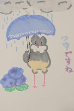 ★文鳥好きが書いたのんびり文鳥日和シリーズ 「梅雨ですね」★のサムネイル