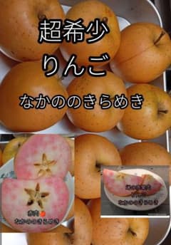 切るとピンク○幻のりんご なかののきらめき 2kg 激レア - メルカリ