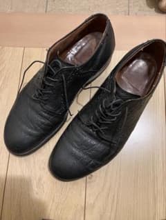 ALDEN オールデン　旧ロゴ　エキゾチックレザー　エレファント　27程度