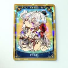 FGO 최종 재림전 미니 최종 재림 컬렉션 카드 드루거