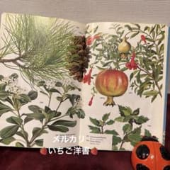105④1974年ドイツ語版植物図鑑 洋書 ジャンクジャーナル素材 ボタン