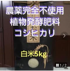 農薬完全不使用/植物発酵肥料 コシヒカリ 白米5kg（令和8年産）のサムネイル