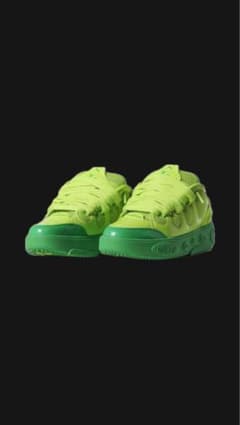LaMelo Ball × PUMA HOOP LaFrance erl