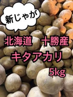 北海道　十勝産　キタアカリ　5kg 新じゃが　じゃがいものサムネイル