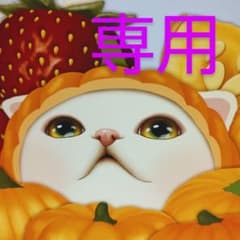 コマさん様専用のサムネイル