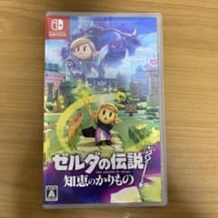 ゼルダの伝説 知恵のかりもの Nintendo Switch