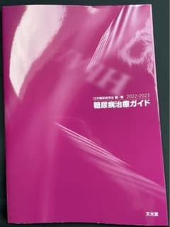 糖尿病治療ガイド2022-2023のサムネイル