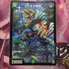 ブラキオ龍樹のサムネイル
