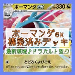 【2点セット】ボーマンダ スリーブ OMOCAT コラボ限定品 他 海外ポケモンセンター 】ボーマンダ スリーブ OMOCAT コラボ限定品