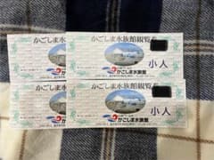 いおワールド鹿児島水族館大人2枚小人2枚のサムネイル