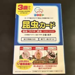 カードで選ぶだけで「昆虫」の知識が身に付く!昆虫カードのサムネイル