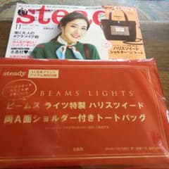 ステディ 付録 11月号のサムネイル