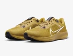 2/28までの値下げ　Nike ズームペガサス40 レアカラー　28.5