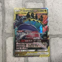 ポケモンカード アーゴヨン&アクジキングGXのサムネイル