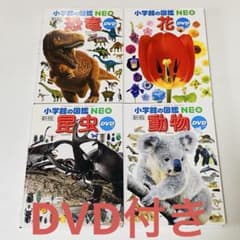 小学館の図鑑NEO 全11冊セット花　恐竜　宇宙　動物　昆虫　全巻DVD付 小学館の図鑑NEO 4冊セット DVD付(恐竜・花・昆虫・動物) - メルカリ