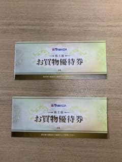 ヤマダ電機　株主優待券　500円8枚　4000円相当分のサムネイル