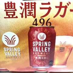 ビール 酒 スプリングバレー 晴れ風 グッドエール 48本 キリン 豊潤