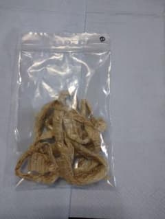 蛇の脱け殻 蛇皮 脱皮のサムネイル