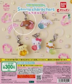 サンリオキャラクターズ めじるしアクセサリー エモきゅん2のサムネイル