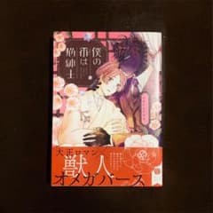 僕の番は猫紳士 アサナエアラタのサムネイル