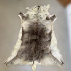 大判トナカイ毛皮フィンランド約140x110cm敷物ラグブッシュクラフト