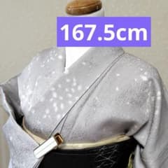 お値下げ中☆【極美品】トールサイズ 丹後ちりめん 正絹小紋 撥水加工