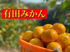 [大特価]有田みかん5kg!!訳あり品.農家直送のサムネイル
