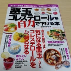 悪玉コレステロールを自力で下げる本のサムネイル