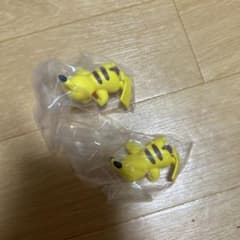 포켓몬 잘자 친구 친구 모두 푹 피카츄