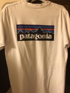 パタゴニア tシャツのサムネイル