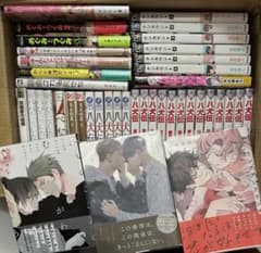 Y*o様 【42冊】BLコミック まとめ売り テンカウント 八犬伝 他 - メルカリ