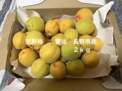 完熟梅　　　豊後　長野県産 ２ｋｇのサムネイル