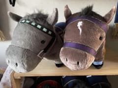 サラブレッドコレクション スターズオンアース、メジロマックイーン