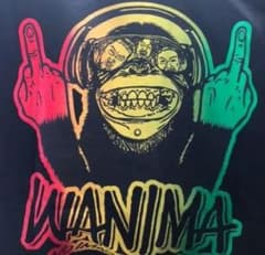 WANIMA　Tシャツ　apeのサムネイル