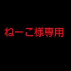 ねーこ様専用 ウィッグのサムネイル