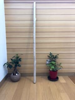 流木　真っ直ぐ100cm♬能登半島輪島採集のサムネイル