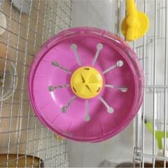 ハムスター ホイール 回し車 値引き！！のサムネイル