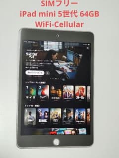 バッテリー90%【iPad mini 5世代 64GB WiFi-セルラー】 - メルカリ