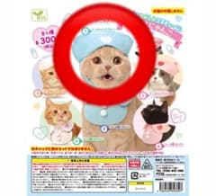 ガチャガチャ　ねこのへんしんコスチューム　ナースにゃんこのサムネイル